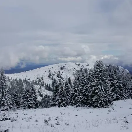 Simonida - Milmari M3 * Kopaonik