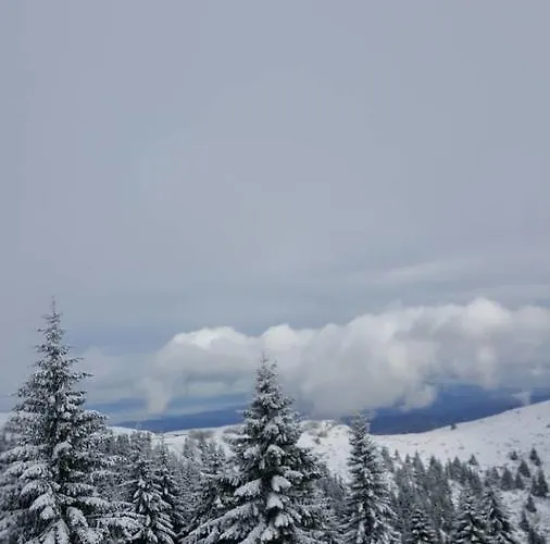 Simonida - Milmari M3 Kopaonik